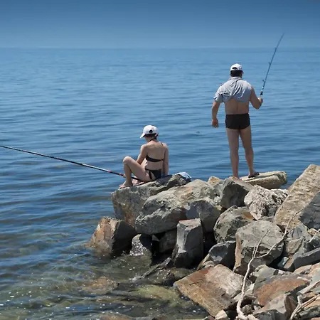 Lovely Nest With Glass Veranda